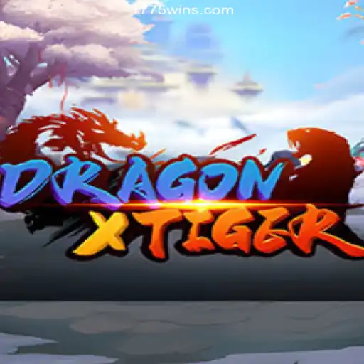 Exploring DragonXTiger on the 1775Win.com Platform